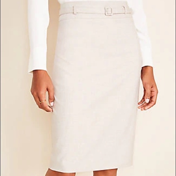 Ann Taylor Skirt Suit Set Neutral / Tan / Beige Size 14 - Picture 4 of 7